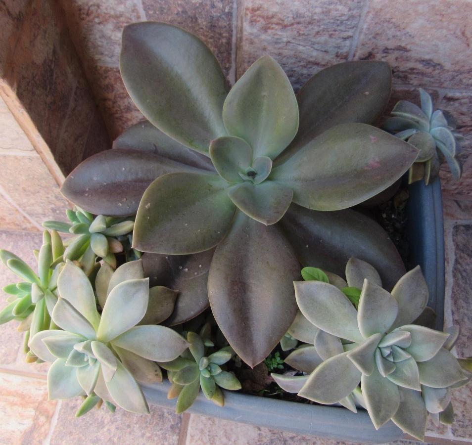 Suite Verdes Mares Arraial do Cabo Exterior photo